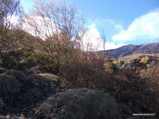 Vallone monte Zappinazzo